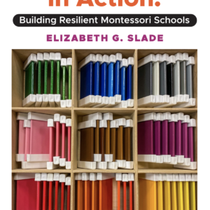 Montessori in Action: Building Resilient Schools