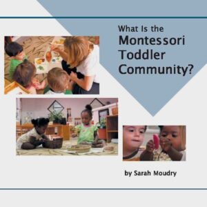 NAMTA - Montessori Toddler Community?