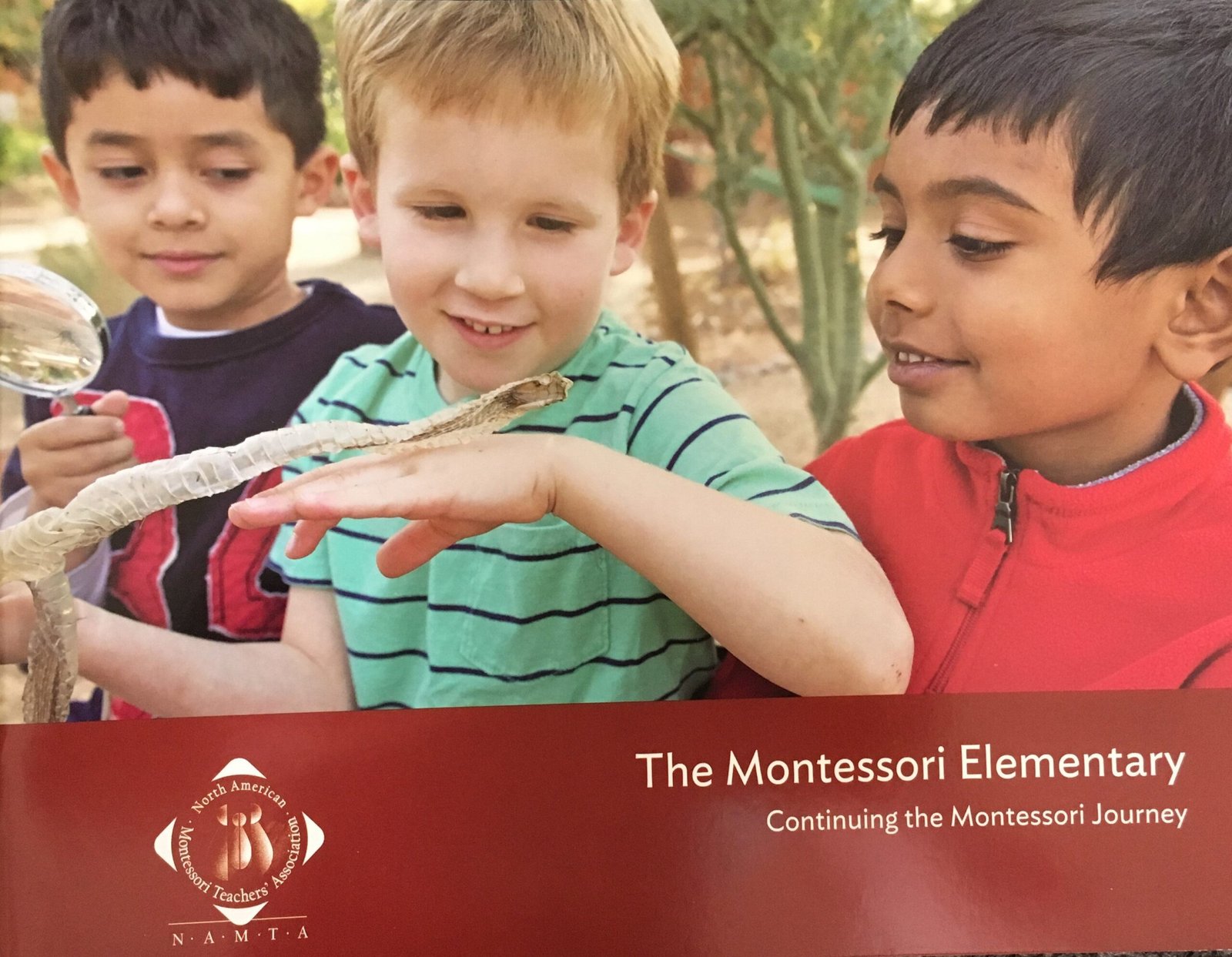 NAMTA - Montessori Elementary